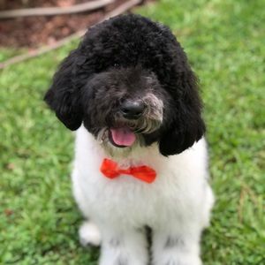 Meet your Posher, Jennjennifer